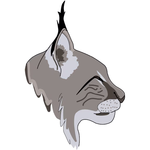Lynx